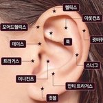 웬만한 피어싱 부위 다해본사람