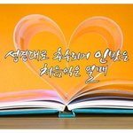 평화로 비추는 세상,