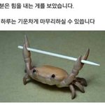 [조언부탁해] 나 얼굴이 너무 잘 빨개져