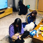 [댓글부탁해] 공<b>승연</b> 집에 놀러온 트와이스 멤버들