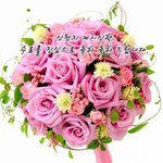 평화로 비추는 세상