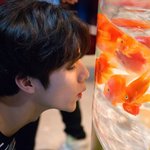 [NCT] 샤오쥔에 미친 날 좀 봐