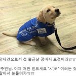 나 조카 <b>쓸모</b>없는 장점 하나 있음