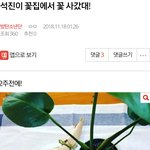 [방탄소년단] ✔석진이 <b>꽃집</b> 여기서 봐/추반댓금지