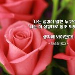 평화로 비추는 세상