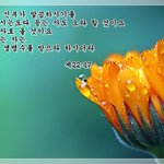 신천지예수교회 수료식