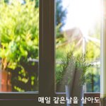 [좋은글귀] 매일 같은 날을 살아도