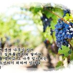 세상에 빛이되다.
