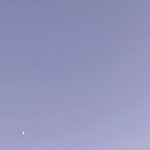 오늘 혼<b>코노</b> 갈 말