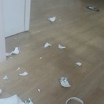 [조언부탁해] 사진<b>o</b>) 남동생이 <b>집</b> 엎었어;;;