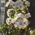 나 일상<b>블로그</b> 하는데 ╰(*´︶`*)╯