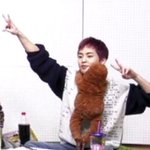 [시우민] 속보)멤<b>버피</b>셜 이과면서 고양이과 시우민