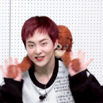 [EXO] 개인슬로건<b>웅</b><b>앵</b>대는ㄴㅕㄴ들아^^