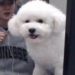 [EXO] <b>청소</b> 중...