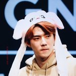 [EXO] 밑에서 고소 얘기하니까 그로 쏙 들어감
