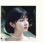 이사람 연<b>플리</b>