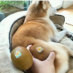 [댓글부탁해] 원령공주 <b>존</b><b>잼</b>임?