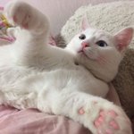[드루와] ㅆㅂ <b>정화</b>짤 푼다 얘들아