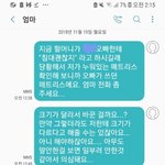 할머니가 내 매트리스 오빠한테 줌;;