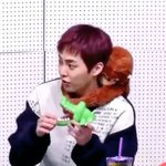 [시우민] <b>악어</b>를 만만하게 본 시우민;;