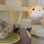 아이돌 <b>파다</b>보면