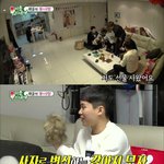 [댓글부탁해] 사자 모자를 쓴 <b>포메</b> 옥희(귀여움주의)