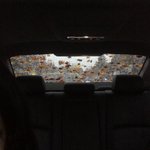 니네 젖은<b>낙엽</b>족 이라는거 암?ㅋㅋㅋ