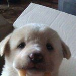 공부하고 <b>두</b><b>시간</b> <b>반</b> 뒤에 올게...!!!