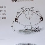 아 뭔 양이 이<b>따구</b>로생겼냐