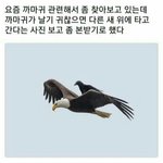 한국 <b>수능</b> 진짜 조카 짜증남