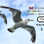 [폭발 반응] 하늘 팟 에서 직접 들어보고 확인하자!
