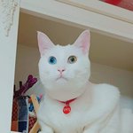 우리집 그 인간 미쳤나봐 ㄷ