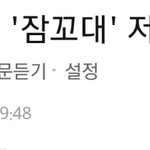 [<b>꼬랑</b>단] 박제☺