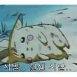 중3 내신 <b>조진</b> 거 같아