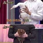 [댓글부탁해] <b>최현우</b> 금단의 흑마술
