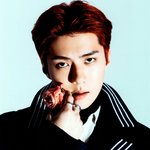[세훈] <b>템포</b> 뉴 굿즈 스캔본