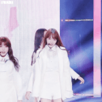 장원영이 프듀 1에 나왔으면