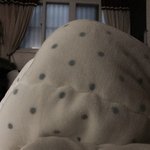 와 나 ㅈ됏다 ㄹㅇ진짜 어카냐