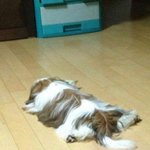 후드<b>티</b>나 <b>맨투맨</b> 예쁜거 추천죰