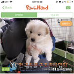 이 강아지들 얼마만큼 커질까??