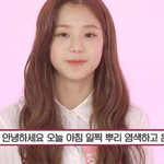 아이즈원 무근본 자기소개 봄?