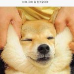 [드루와] <b>롱패딩</b> 한물갔니