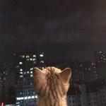 돈 많은 친구 때문에 스트레스 받는 제가 예민한건가요?