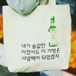 [댓글부탁해] 요즘 유행이라는 <b>인싸</b> 가방