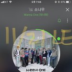 [강다니엘] 봄깅아ㅠㅠㅜㅜ안돼ㅠㅠㅠ