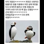 [댓글부탁해] 예비고1<b>팁</b>추천하구가줘ㅠㅠ