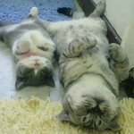 [댓글부탁해] 얘들아 나 낼 시험인데ㅠㅠ