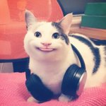 [댓글부탁해] 우리 <b>옆집</b> 좀 이상한거같아...;;