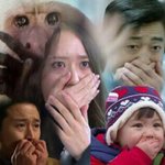 [NCT] 저녁8시 스포브앱이후 12시뮤비공개