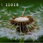 꼭, 반드시 읽어야 하는 글, 한기총의 부패